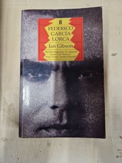 irish history,  politics and interests