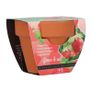 Bizzy Grow Gifts Mini Pots Image 8