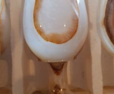 set of 6 onyx wine goblets