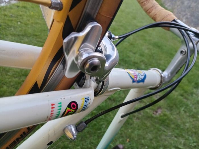 Pinarello Treviso Italia 56cm 10 sp Campy Record