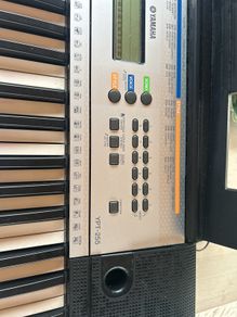 Yamaha - YPT 255