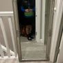 mirror Image 2