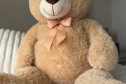 Giant Teddy brand new