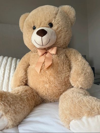 Giant Teddy brand new