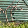 Set of 4 old trap springs Image 3