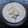 2 oz Silver Royal Mint 2022 Tudor Beasts - Lion of England coin Image 2