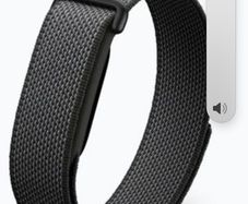 Fitbit Air