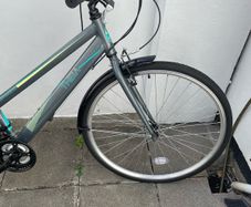 womens bicycle