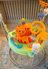 Fisher Price jumperoo