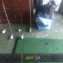 ping Image 6