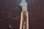 Hostess serving fork