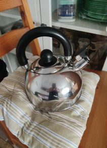 Stainless Steel Whistling Kettle