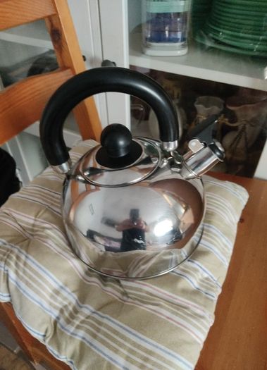 Stainless Steel Whistling Kettle