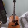 Gibson DSM Image 2