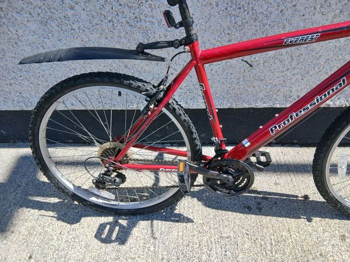 Adults Bike