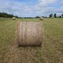 Hay Bales - Fourmilehouse Image 2