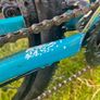 Trek Marlin 5 Image 5