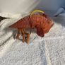Star Wars Opee sea killer fish action figure Image 2