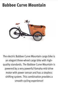 Babboe Curve Electric Mountain Cargo Bike