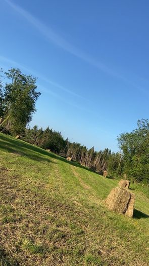 Square bales