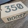 Adidas Yeezy 350 Image 5