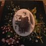 victorian photo album & photocard's, getting rare Image 6