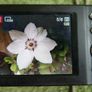 Pentax Optio M900 Digital Camera: 12.1 MP, 5X Zoom - Tested Image 7