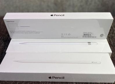 New Apple Pencil 2nd gen