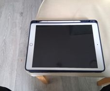 Apple ipad mini pro