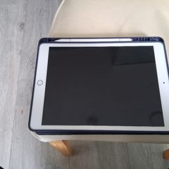 Apple ipad mini pro