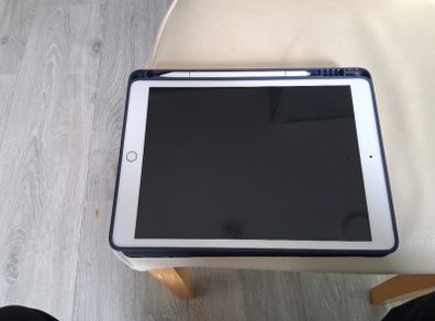 Apple ipad mini pro