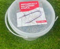 Galvanised staples