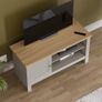 TV Unit Image 4