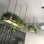 Ceiling Shelf for Flower Pots, Creative Plant Storage Shelf, Floating Shelf, Bar Decoration, Flower Pot Display Stand, Stand for Plant Pots Image 5