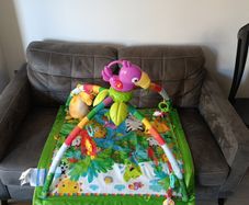 Fisher-Price Tropical Jungle Baby Gym