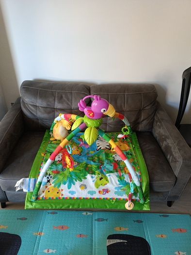 Fisher-Price Tropical Jungle Baby Gym