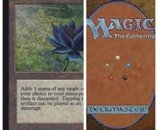 Magic the Gathering Collections/cards