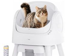 litter box automatic