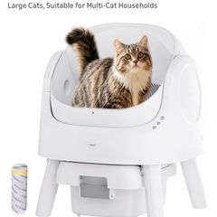 litter box automatic