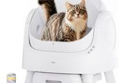litter box automatic
