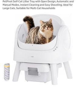 litter box automatic