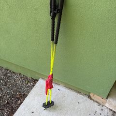 ski poles