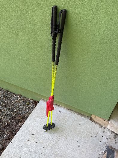 ski poles