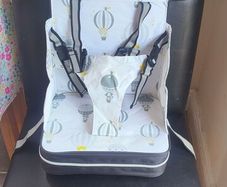 Polar Gear 5 Point Harness Booster Seat