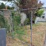 Dog pen enclosure Image 3