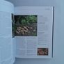 Royal Horticultural Society allotment handbook Image 6