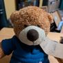 Singapore airlines bear Image 2
