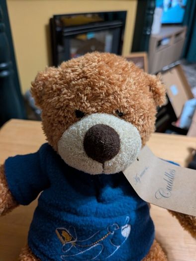 airline bears eur 10 each