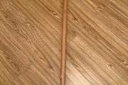 walking stick