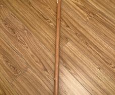 walking stick